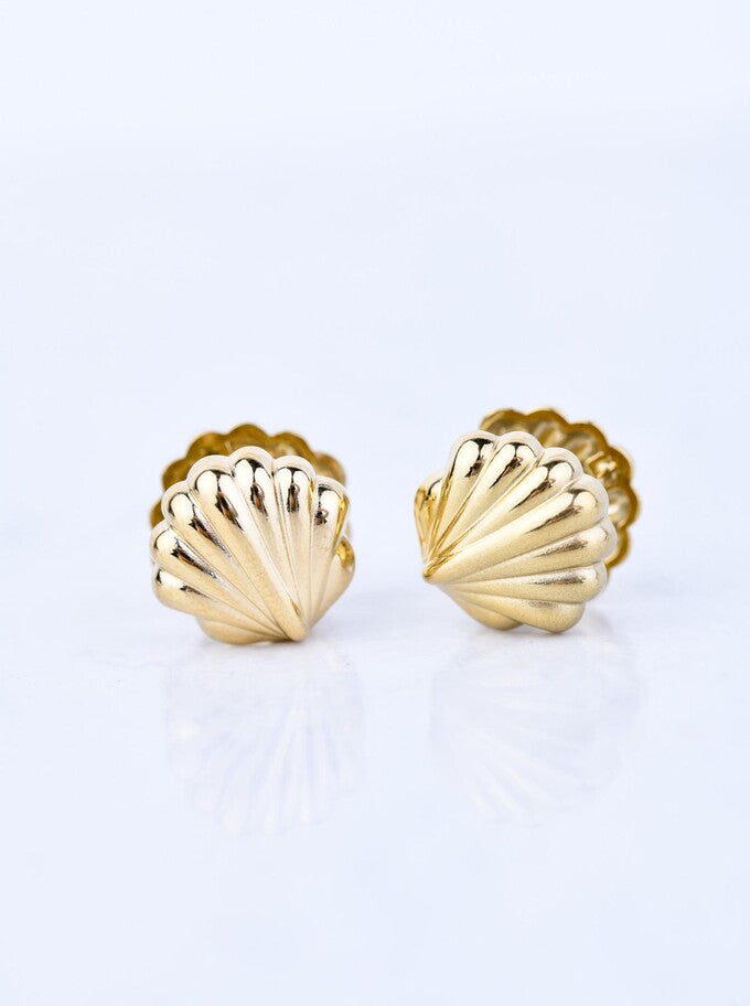 14k Gold Plated Double Side Seashell Earrings