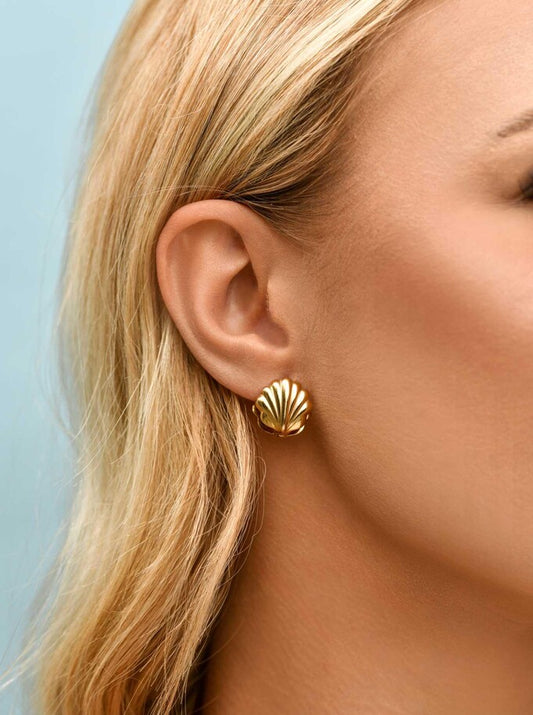 14k Gold Plated Double Side Seashell Earrings