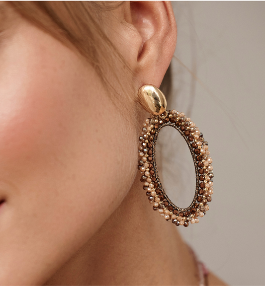 Chocolate Brown and Gold Beige Flower Crystal Earrings